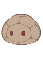 Terralime portrait